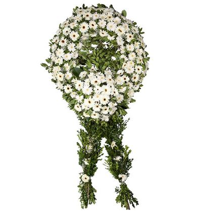  Çerkezköy Çiçekçiler Beyaz Gerbera Cenaze Çelengi