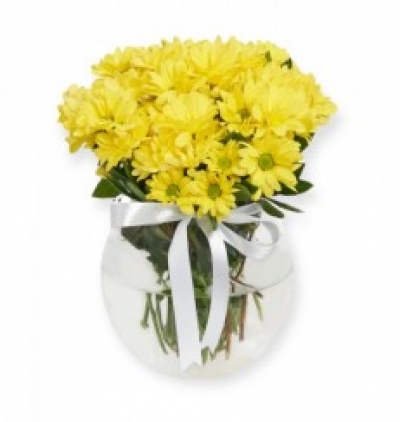  Çerkezköy Çiçek Siparişi cam fanusta sarı papatya 
